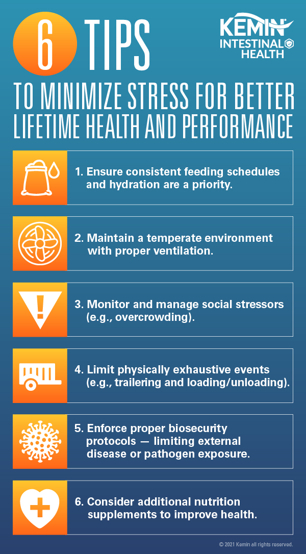 6 tips to minimize stress for better lifetime health and performance