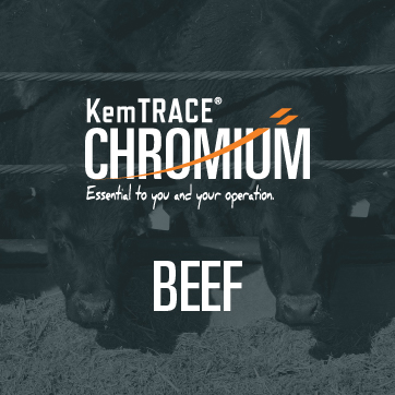 Animal Nutrition & Health Products for Dairy Cattle | Kemin USA