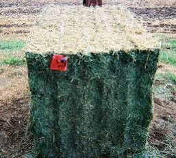Hay bale treated with a preservative with low heat damage