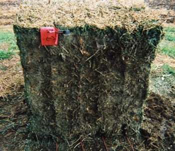Hay bale untreated by a preservative with moderate heat damage