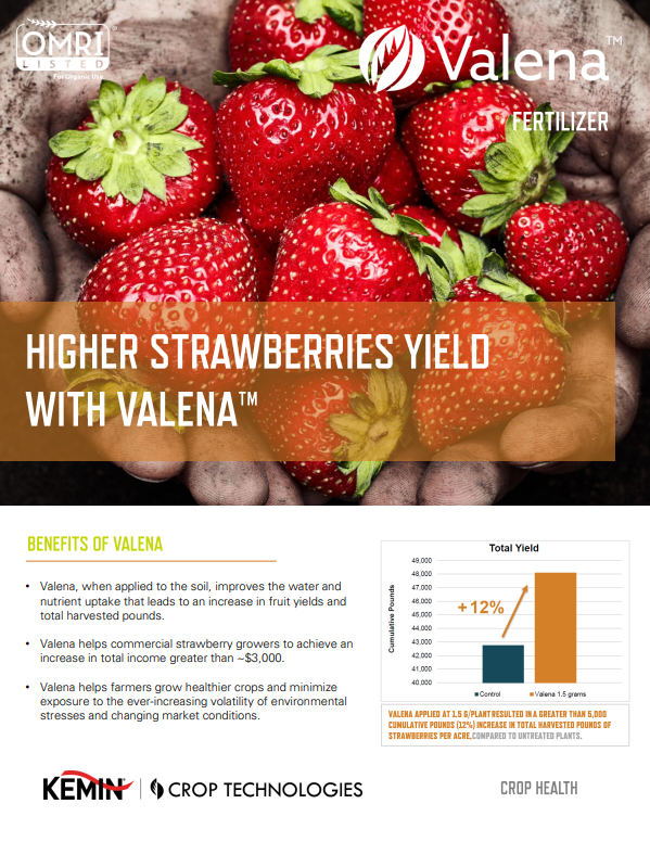 Valena-cropsheet-strawberry